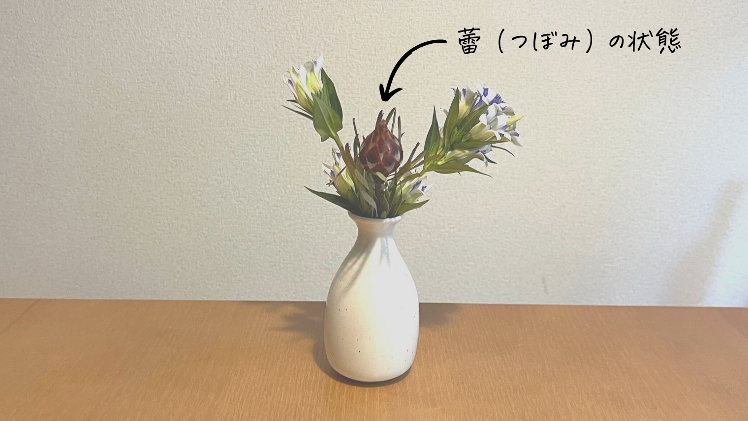 LIFFT定期便ライト_蕾の花