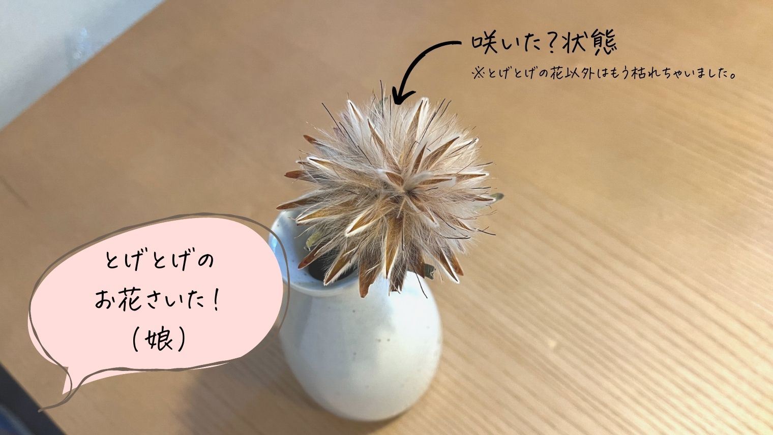 LIFFT定期便ライト_蕾の花