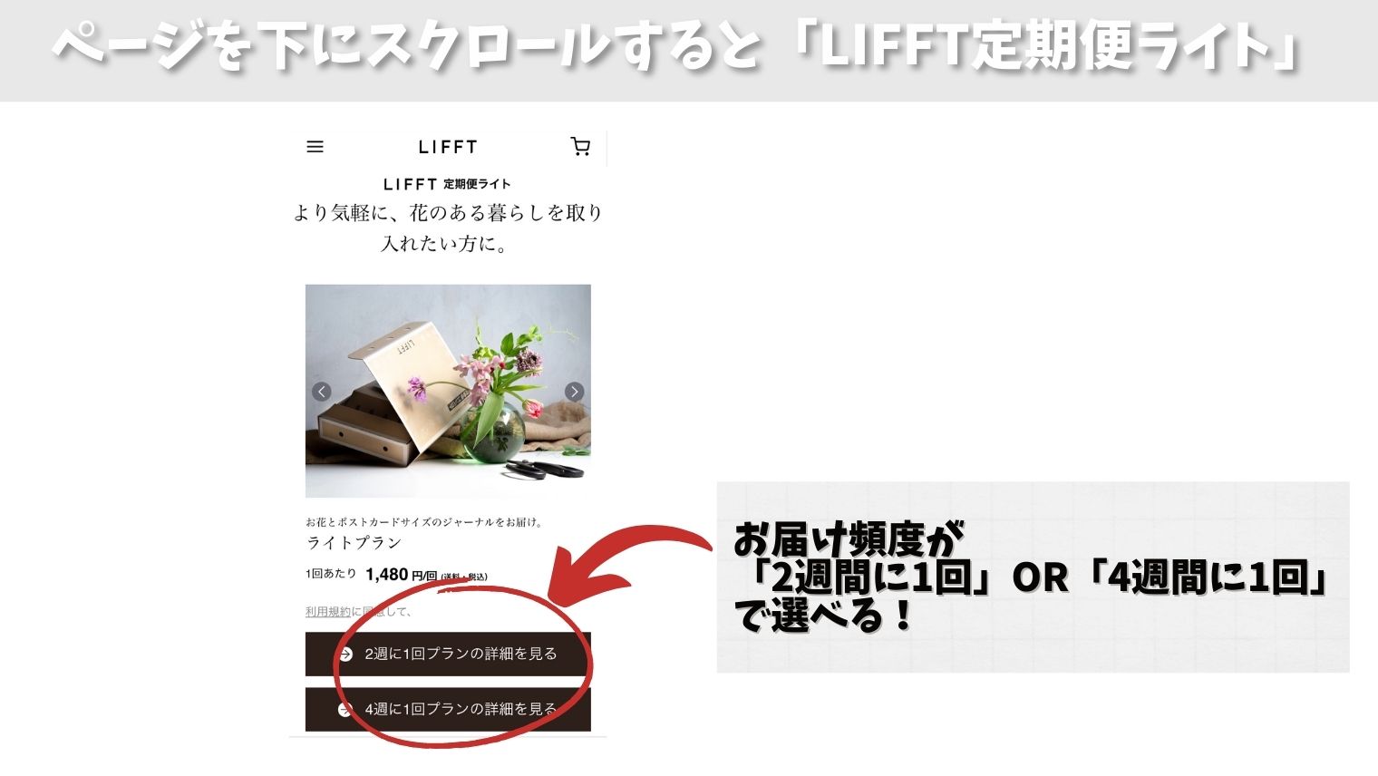 LIFFT定期便ライト_注文方法