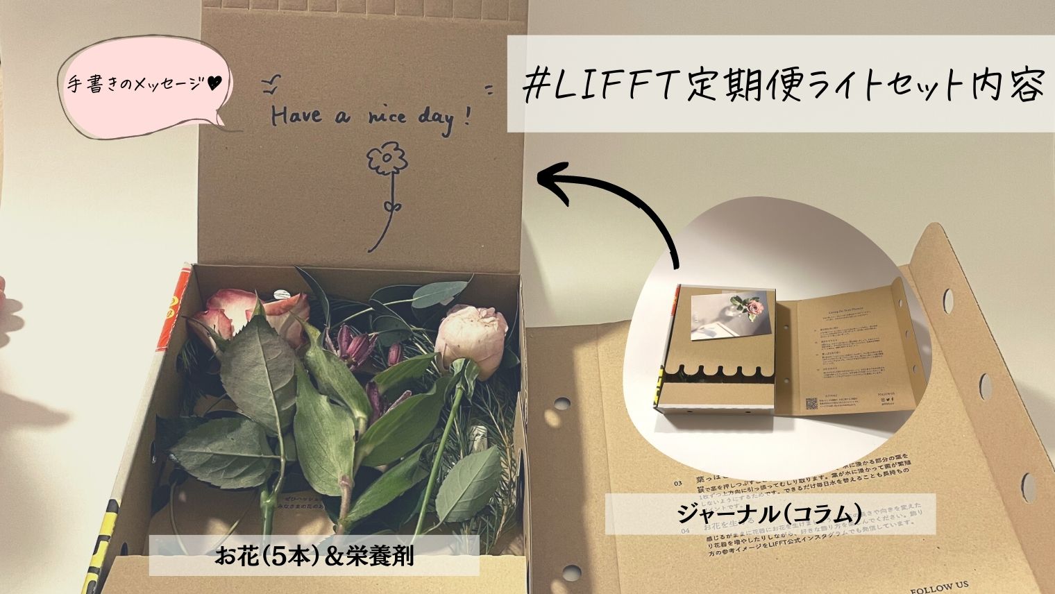 LIFFT定期便ライト_セット内容