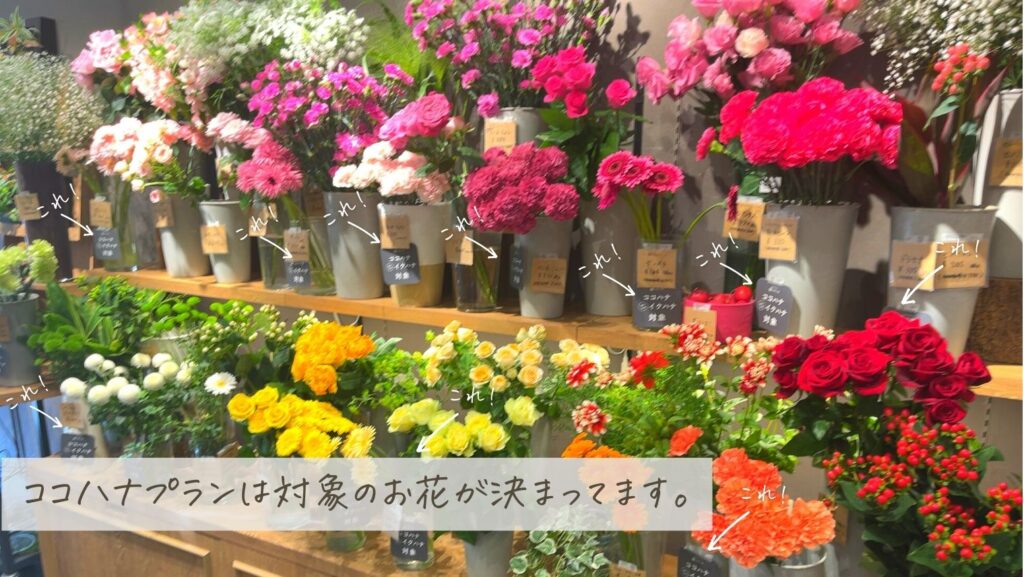 日比谷花壇_ハナノヒ対象のお花